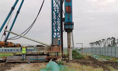 玉湖冷链深度融入四川国际供应链建设，推动施工工程高效落地